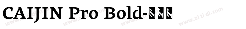 CAIJIN Pro Bold字体转换